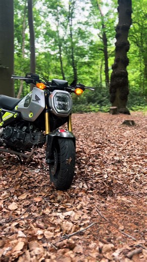 🌲🪵🏍️🏔️#grom #motocycle #summer #norfolk