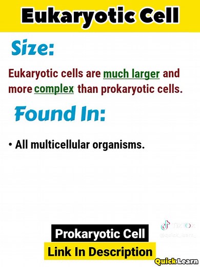 Discover the Fascinating World of Eukaryotic Cells