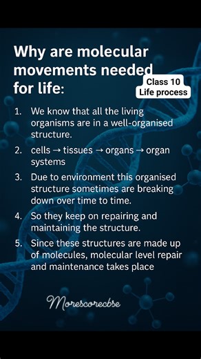 15 shares | Life process #class9science #class10science #lifeprocesses #molecularmovement #biologyfacts #sciencefacts #ncertscience #cbseclass9 #cbseclass10 #biologyreels #sciencereels #educationreels #studymotivation #studywithme #biologynotes #sciencenotes #learningiseasy #scienceisfun #schoolreels #studyreels | Morescore Cbse | Facebook