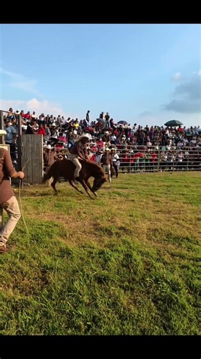 RODEO JUJAN #cowboys