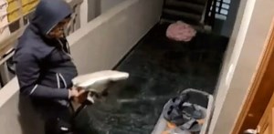 Video: Thief inspects sneakers before stealing them from a building