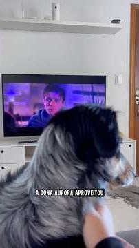 E hoje, é dia de vlog 🥰