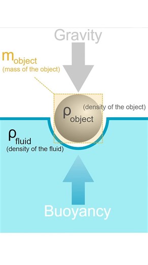 Sorry astronauts, helium falls in space 🎈​ #physics #science #helium #gravity #interestingfacts #balloon #reels | The Action Lab