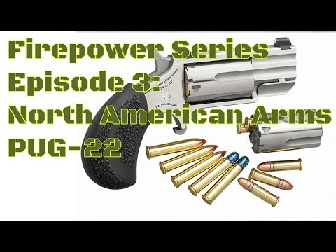 💥 Firepower Series Ep. 3: North American Arms Pug .22 — Tiny Revolver, BIG Bite!