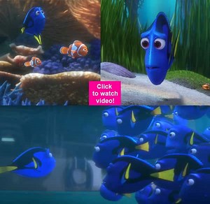 Finding Dory trailer: Finding your way back home never felt so EMOTIONAL, even for a fish! | Bollywood Life