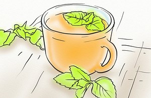 Spearmint Tea for Hair Growth: Effects & Benefits - Hairguard