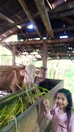 Day3 - Liburan di Kampung