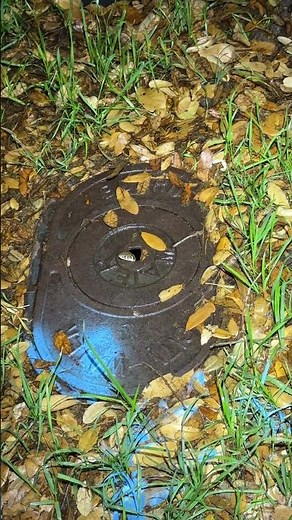 Peekaboo 👀… Checkered Garter Snake coming out of a water meter!! #wildlife, #snake, #nature