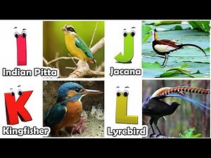 Birds Alphabet Song for Kids | Birds ABC Song | Phonics for Kids | Baby | Alphabet Letters