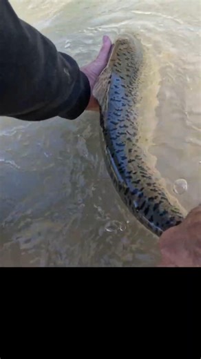 Almost lose it!! #short