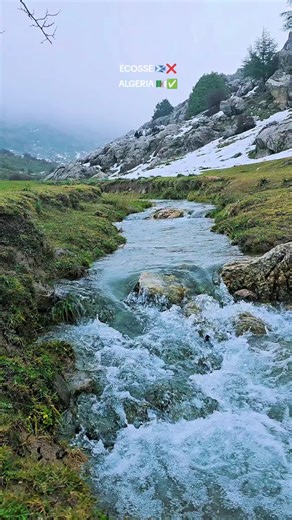 Nature in Algeria: Discover Tikjda's Beauty