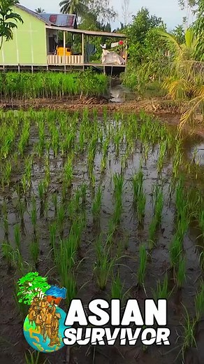 Program Transmigrasi Baru Kalimantan 2025