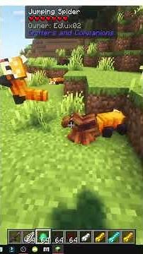 CÓMO TAMEAR JUMPING SPIDER en MINECRAFT con Critters and Companions