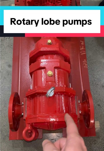 Magst du diese Art von Nockenrotorpumpe?#lobepump #nockenrotorpumpe #pumps #pump #Messnockenrotorlobepumpe