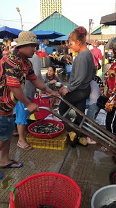 Wholesale Fish Market l Cambodia Fish Market | Ros Rorn - រស់ រ៉ន | Facebook