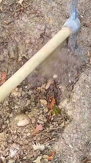 31K views · 112 reactions | History is Changing!!! Golden Owl Statue | GoldHunting | Facebook