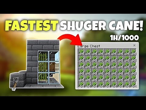 Easy Automatic Sugar Cane Farm In Minecraft Bedrock 1.21