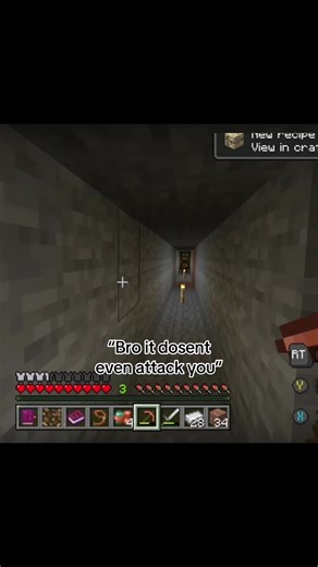 I think it attacks twin @IDK #dwellermod#dweller#caverndweller#minecraft