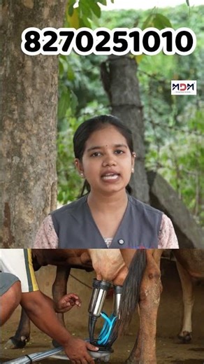 ട്രോളി മിൽക്കിങ് മെഷീൻ – തള്ളിക്കൊണ്ടുപോയി പാൽ കറക്കാം