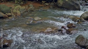 Slow motion 12 fps stream in the forest. Surface water over the rocks.