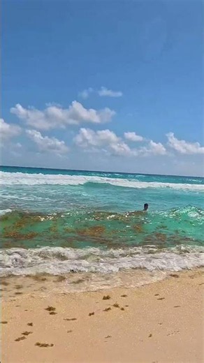 🇲🇽 Playa Delfines Cancun a Summer Day in Mexico