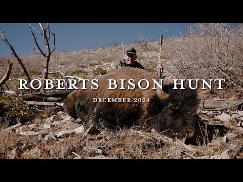 Robert's Bison Hunt : Once in a Lifetime