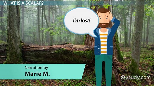 Scalar Quantity | Definition, Functions & Examples