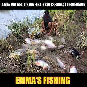 13K views · 361 reactions | Amazing Net Fishing Skills By Professional Fisherman | Survival with Emma | Facebook