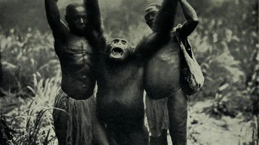 Chilling legend of 'Congo’s Bigfoot' who is taller than a human & eats lions