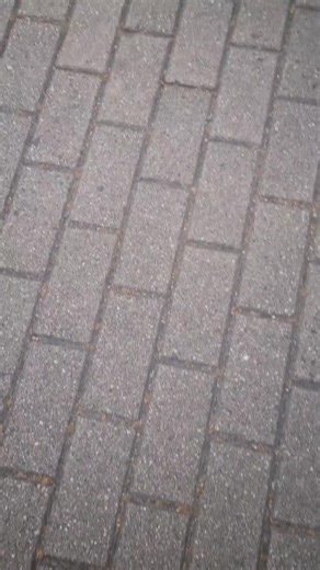 Mtb.Nico_Alex on TikTok