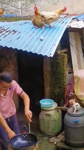 😁😁😁 #funny #memes #meme #funnymemes #comedy #lol #dankmemes #memesdaily #fun #love #humor #follow #funnyvideos #instagram #like #viral #instagood #dank #lmao #tiktok #explorepage #jokes #explore #cute #funnymeme #memepage #laugh #dailymemes #edgymemes #trendingreels . | Elle Lee-K