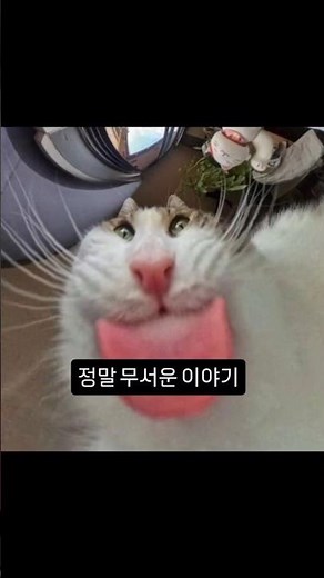 정말... 무서운 이야기...사악한 래리😈😈😈