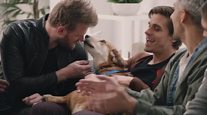 'Queer Eye' doing a rescue dog makeover will melt you into a puddle o' goo