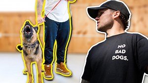 Training an aggressive dog is something some dog owners face. How should you start working with an aggressive GSD? Tom Davis goes over the first session working with an aggressive dog! 👉🏻 JOIN THE NO BAD DOG OFFICIAL CLUB! https://go.upstatecanine.com/nbda-2 | Tom Davis Dog Training