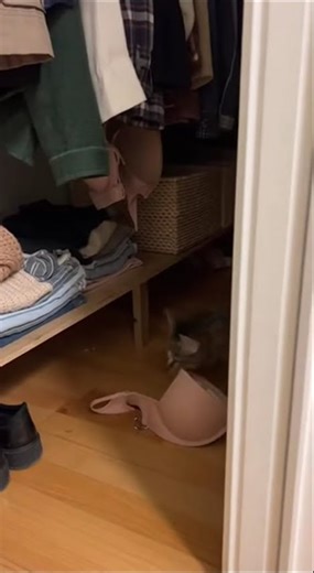 Why a Bra? Cat Grabs It from the Closet and Bolts
