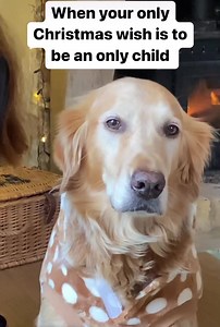 314K views · 10K reactions | let him go let him go let him go | Hugo and Ursula | Facebook