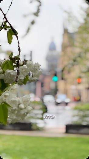 1853 and now..... .... .. . . . #leeds @visitleeds #leedsleedsleeds #leedscitycentre #yorkshire #westyorkshire #leedslife #citylife #iphone #iphonography #photography #cimematography #leedsphotographer #citylife #yorkshire #rustic #architecture #thelightleeds @visitleeds #cimematic #market @visitleedsuk #bbcyorkshire #outandabout #leedscity #cornexchange #outdoors #highlight #exploreleeds #explore #travel #instagood #spring #leeds #leedstownhall | Roy Tuangco