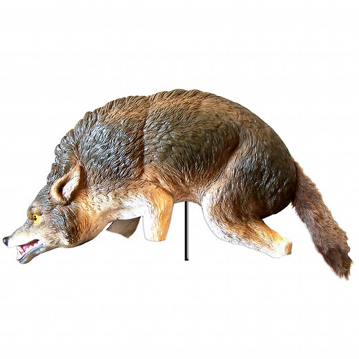 3D Coyote Decoy for Pest Animal & Bird Control | Bird-X