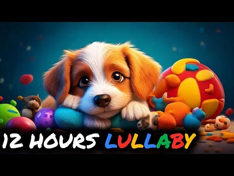 12 Hours 🎵 Lullaby 💤 Doggy 🐶 Sleep Music for Serenity, Bedtime, Calming, Restful Sleep