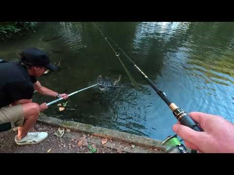 Comment décrocher proprement un brochet