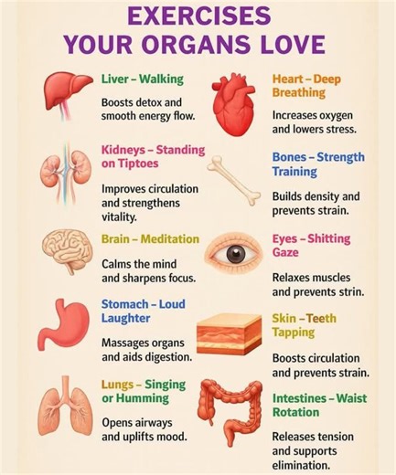 Exercises Your Organs Love Liver - Walking Walking helps stimulate natural detoxification and supports smoother energy flow throughout the body. 🫀Heart - Deep Breathing Slow, mindful breathing increases oxygen intake, lowers stress, and promotes emotional calm. 🫘Kidneys - Standing on Tiptoes A simple rise onto your toes improves circulation and supports kidney vitality. 🦴Bones - Strength Training Resistance exercises help build bone density, protect joints, and reduce the risk of strain. 🧠Br