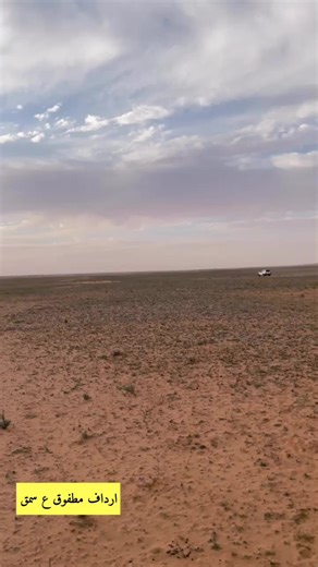 Hawk Hunting in the Desert Landscape
