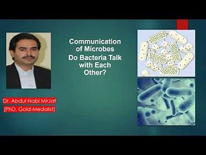 What is Quorum sensing, the Bacterial Communication Mechanism and the Signal Molecule?