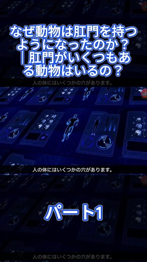 なぜ動物は肛門を持つようになったのか？理由と例をわかりやすく解説
