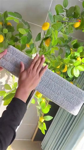 16K views · 84 reactions | 識 Make cleaning effortless with this foldable mop bucket! Space-saving, durable, and perfect for any home. ✨ Shop Nowhttps://shorturl.at/3xHD9 #EasyCleaning #SpaceSaver #HomeEssentials | DHgate Pro | Facebook