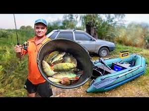 Perch Fishing with LiveBait: How to Catch Perch on LiveBait