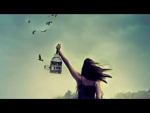 EL UNIVERSO TE DARÁ LO QUE ESTÉS PENSANDO | Autor: Martín Peña | Instituto bioquantum