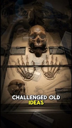 "Fossils That Rewrote Human Evolution #HomoNaledi #Denisovan #HomoFloresiensis"