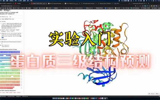 实验入门—在线网站预测蛋白质的三级/3D结构（免费的哦）