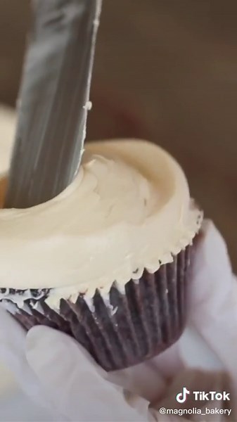 Delicious Magnolia Bakery Cupcake Recipe